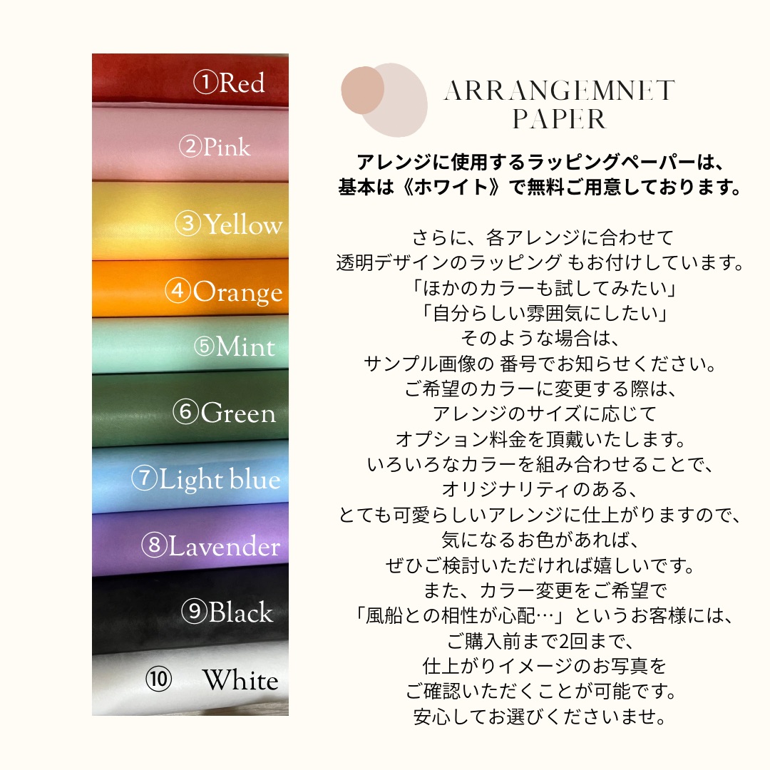 Chouchou - 画像 (5)